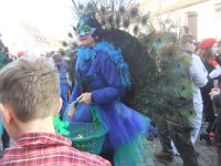 DSCF1245